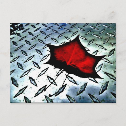"Red Maple" JTG Art Briefkaart (Voorkant)