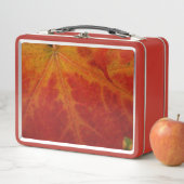 Red Maple Leaf Abstracte Autumn Natuur Fotografie (In situ)