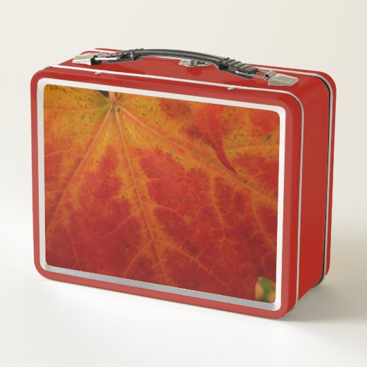 Red Maple Leaf Abstracte Autumn Natuur Fotografie (Achterkant)