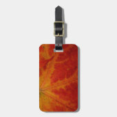 Red Maple Leaf Abstracte Autumn Natuur Fotografie Bagagelabel (Voorkant verticaal)