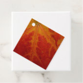 Red Maple Leaf Abstracte Autumn Natuur Fotografie Bedankjes Labels (In situ)