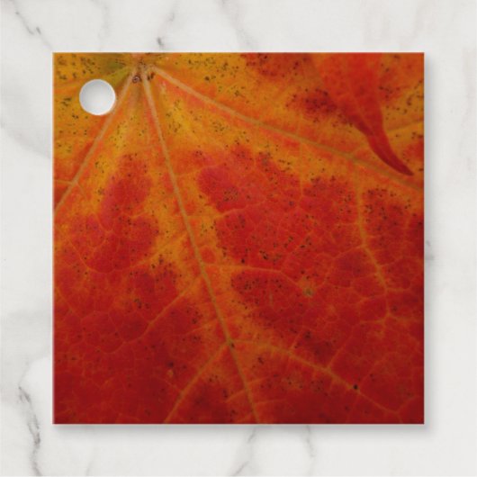 Red Maple Leaf Abstracte Autumn Natuur Fotografie Bedankjes Labels (Voorkant)