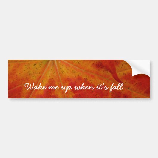 Red Maple Leaf Abstracte Autumn Natuur Fotografie Bumpersticker (Voorkant)