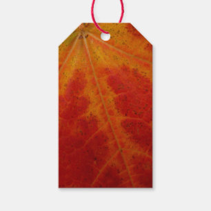 Red Maple Leaf Abstracte Autumn Natuur Fotografie Cadeaulabel