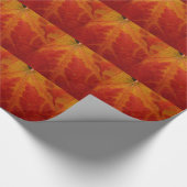 Red Maple Leaf Abstracte Autumn Natuur Fotografie Cadeaupapier (Hoek)