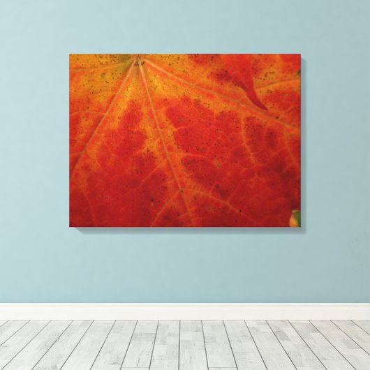 Red Maple Leaf Abstracte Autumn Natuur Fotografie Canvas Afdruk (Insitu (Houten vloer))