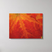 Red Maple Leaf Abstracte Autumn Natuur Fotografie Canvas Afdruk (Voorkant)