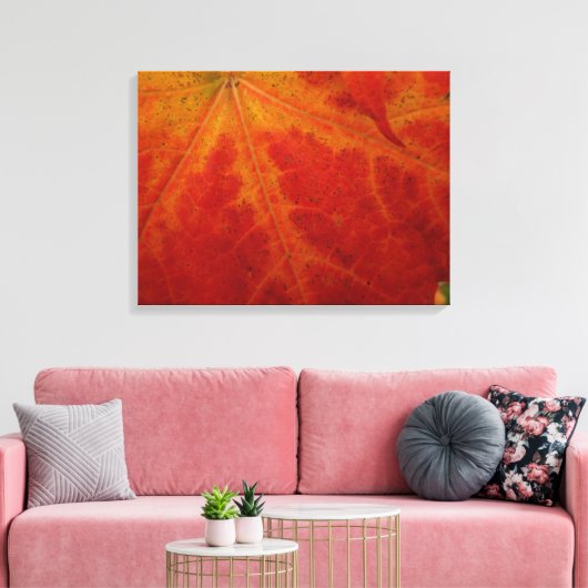 Red Maple Leaf Abstracte Autumn Natuur Fotografie Canvas Afdruk (Insitu (Woonkamer))