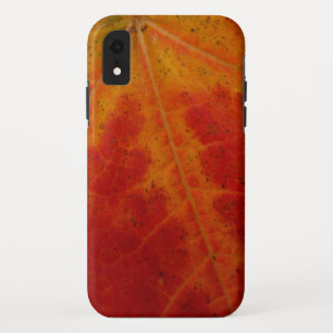 Red Maple Leaf Abstracte Autumn Natuur Fotografie Case-Mate iPhone Case