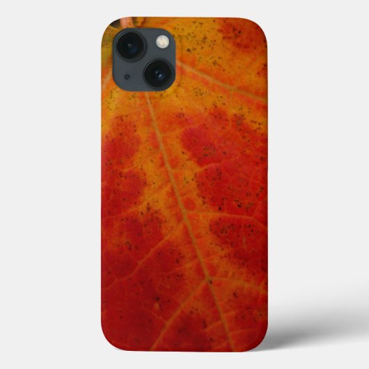 Red Maple Leaf Abstracte Autumn Natuur Fotografie Case-Mate iPhone Case (Achterkant)