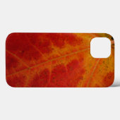 Red Maple Leaf Abstracte Autumn Natuur Fotografie Case-Mate iPhone Case (Achterkant (horizontaal))