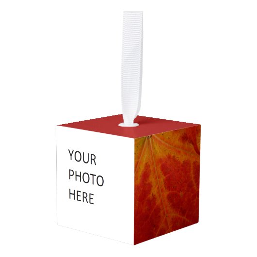 Red Maple Leaf Abstracte Autumn Natuur Fotografie Decoratie (Voorkant hoekig)