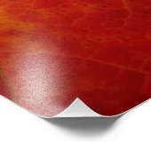 Red Maple Leaf Abstracte Autumn Natuur Fotografie Foto Afdruk (Hoek)