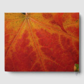 Red Maple Leaf Abstracte Autumn Natuur Fotografie Gastenboek (Achterkant)