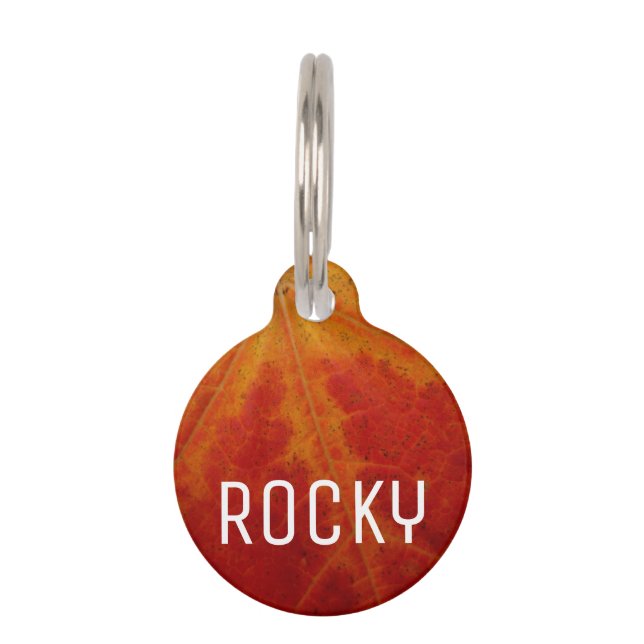 Red Maple Leaf Abstracte Autumn Natuur Fotografie Huisdierpenning (Voorkant)