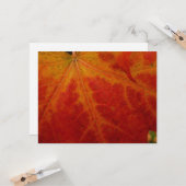 Red Maple Leaf Abstracte Autumn Natuur Fotografie Kaart (Voorkant / Achterkant in situ)