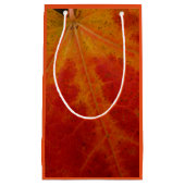 Red Maple Leaf Abstracte Autumn Natuur Fotografie Klein Cadeauzakje (Voorkant)