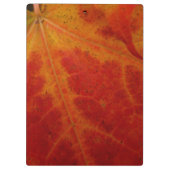 Red Maple Leaf Abstracte Autumn Natuur Fotografie Klembord (Achterkant)