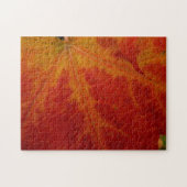 Red Maple Leaf Abstracte Autumn Natuur Fotografie Legpuzzel (Horizontaal)