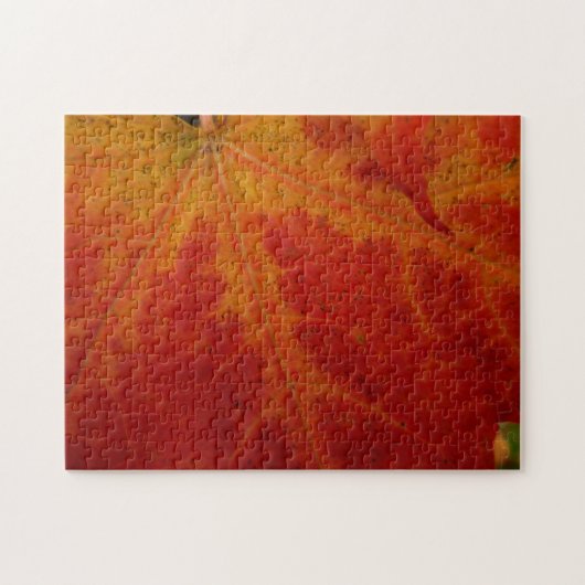 Red Maple Leaf Abstracte Autumn Natuur Fotografie Legpuzzel (Horizontaal)