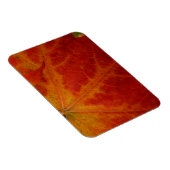 Red Maple Leaf Abstracte Autumn Natuur Fotografie Magneet (Rechterzijde)