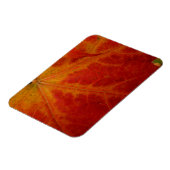 Red Maple Leaf Abstracte Autumn Natuur Fotografie Magneet (Linkerzijde)