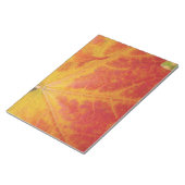 Red Maple Leaf Abstracte Autumn Natuur Fotografie Notitieblok (Schuin)