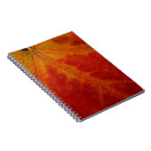 Red Maple Leaf Abstracte Autumn Natuur Fotografie Notitieboek (Rechterzijde)