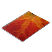 Red Maple Leaf Abstracte Autumn Natuur Fotografie Notitieboek (Linkerzijde)