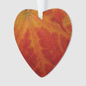 Red Maple Leaf Abstracte Autumn Natuur Fotografie Ornament (voorkant)