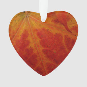 Red Maple Leaf Abstracte Autumn Natuur Fotografie Ornament