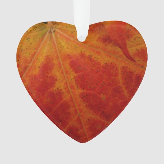 Red Maple Leaf Abstracte Autumn Natuur Fotografie Ornament (voorkant)