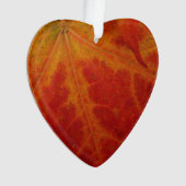 Red Maple Leaf Abstracte Autumn Natuur Fotografie Ornament (voorkant)
