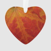 Red Maple Leaf Abstracte Autumn Natuur Fotografie Ornament (achterkant)