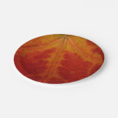 Red Maple Leaf Abstracte Autumn Natuur Fotografie Papieren Bordje (Gekanteld)