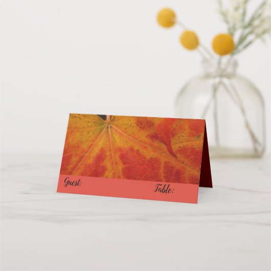 Red Maple Leaf Abstracte Autumn Natuur Fotografie Plaatskaartje (Voorkant)