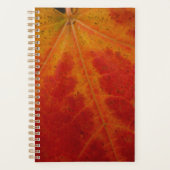 Red Maple Leaf Abstracte Autumn Natuur Fotografie Planner (Voorkant)