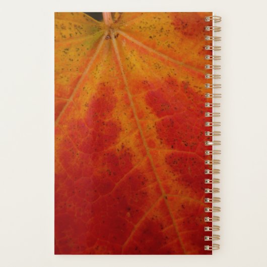 Red Maple Leaf Abstracte Autumn Natuur Fotografie Planner (Achterkant)