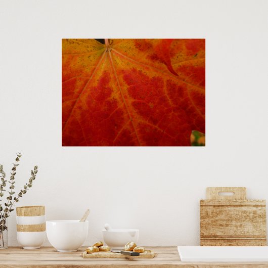 Red Maple Leaf Abstracte Autumn Natuur Fotografie Poster (Keuken)