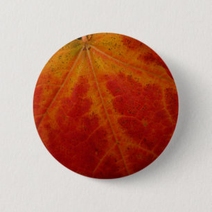 Red Maple Leaf Abstracte Autumn Natuur Fotografie Ronde Button 5,7 Cm