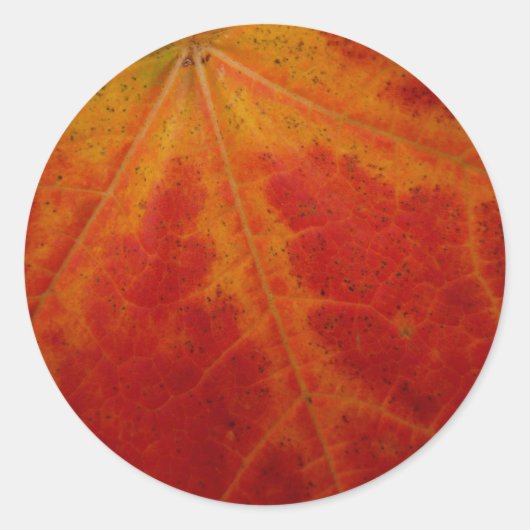 Red Maple Leaf Abstracte Autumn Natuur Fotografie Ronde Sticker (Voorkant)