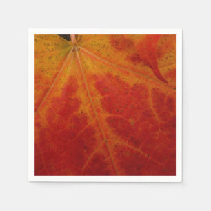 Red Maple Leaf Abstracte Autumn Natuur Fotografie Servetten