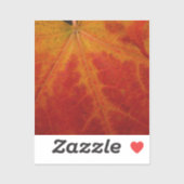 Red Maple Leaf Abstracte Autumn Natuur Fotografie Sticker (Vel)