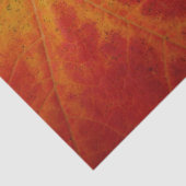 Red Maple Leaf Abstracte Autumn Natuur Fotografie Tissuepapier (Detail)