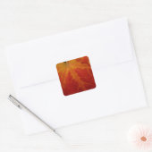Red Maple Leaf Abstracte Autumn Natuur Fotografie Vierkante Sticker (Envelop)