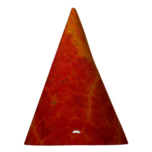 Red Maple Leaf Abstracte najaar Natuur Feesthoedjes (Rechts)