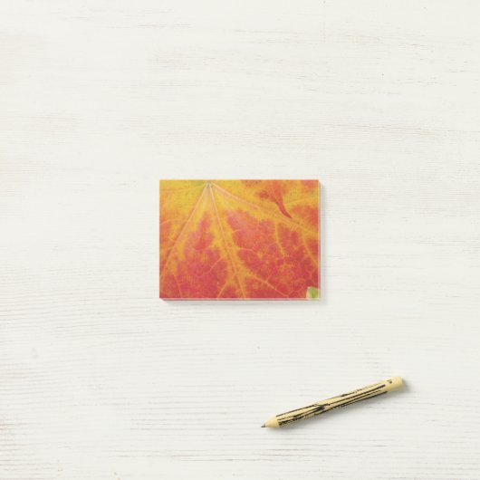 Red Maple Leaf Abstracte najaar Natuur Post-it® Notes (Op bureau)