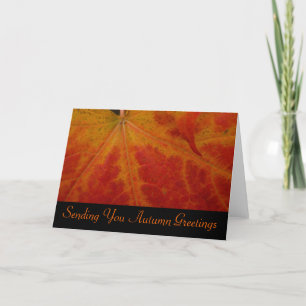 Red Maple Leaf Autumn Greetings Kaart