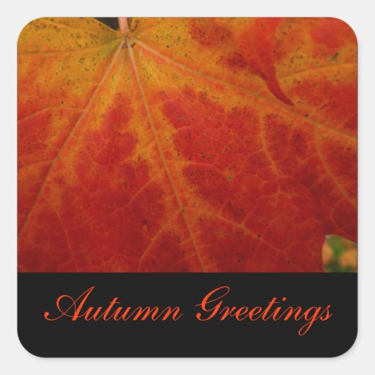 Red Maple Leaf Autumn Greetings Sticker (Voorkant)