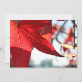 Red Maple Leaf Invitation Kaart (Voorkant)